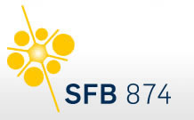 sfb