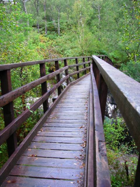 Glen Affric