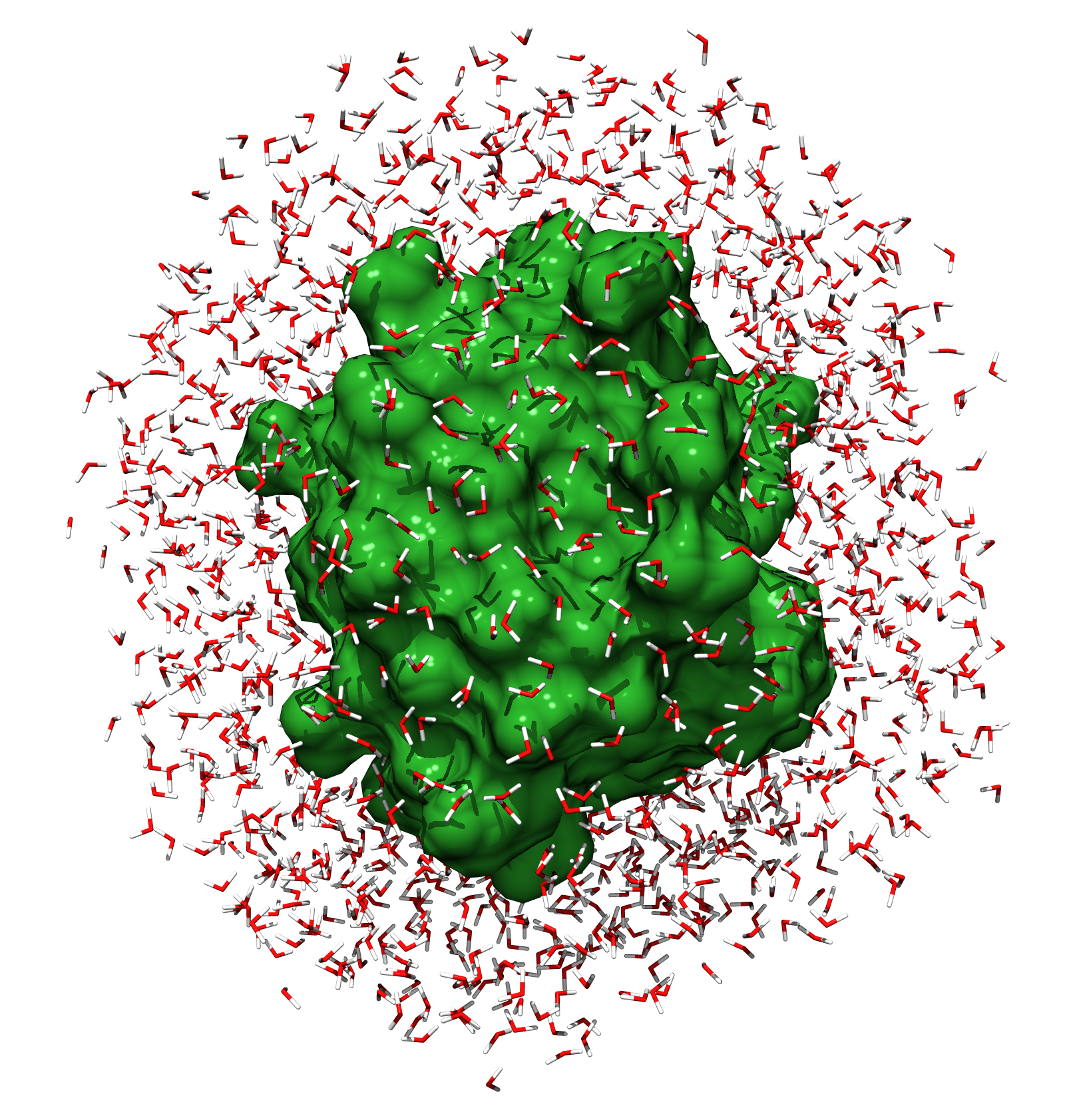 ubiquitin simulation